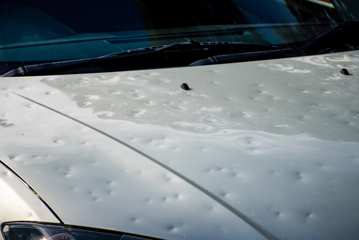 Auto body repair school graduate addressing hail damage on car bumper